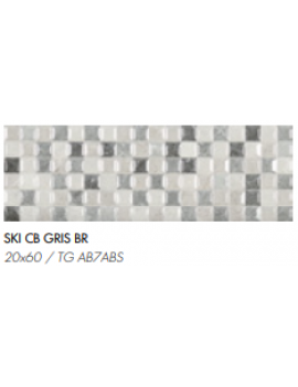 COMGRES 20x60 SKI CB GRIS..