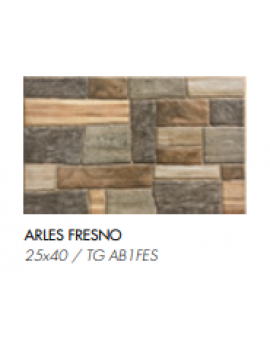 COMGRES ARLES FRESNO 25x40..