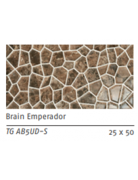 COMGRES 25x50 BRAIN EMPERADOR..