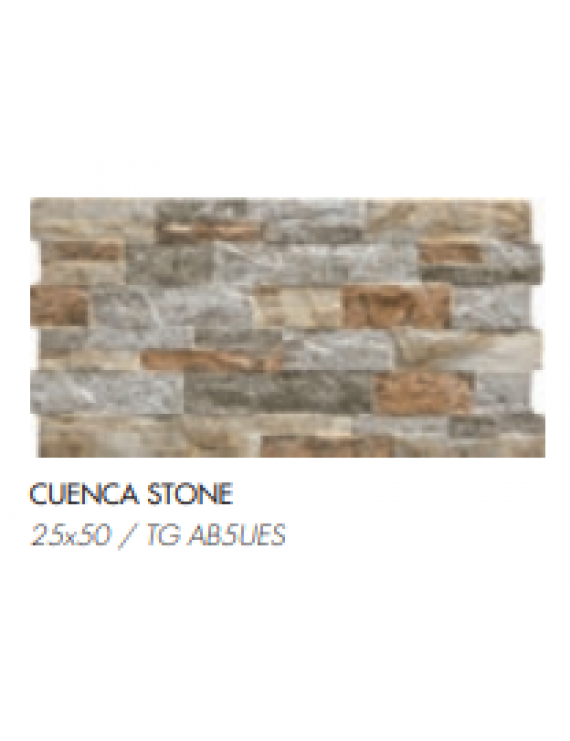 COMGRES 25x50 CUENCA STONE..